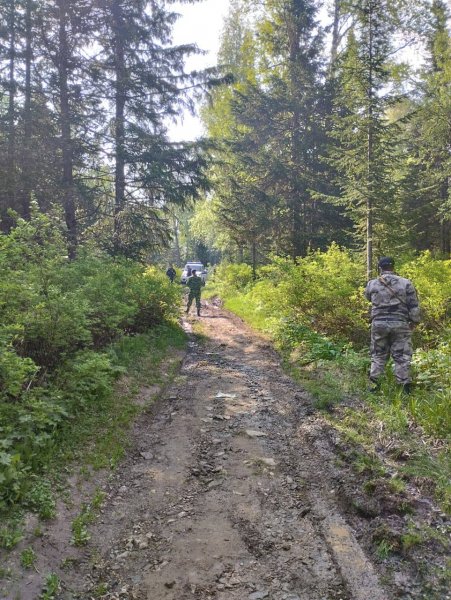 На поиски мужчины, 6 июня потерявшегося в Емельяновском районе, направлен сводный отряд полиции с близлежащих городов
